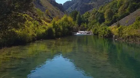 cares-ahogada-juicio