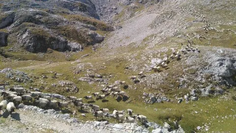 lechazos-pro-biodiversidad-fcq