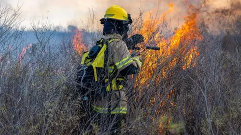 Los incendios forestales, una lacra que, en muchos casos, puede prevenirse