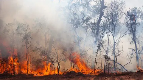juicio-incendio-vidiago-llanes