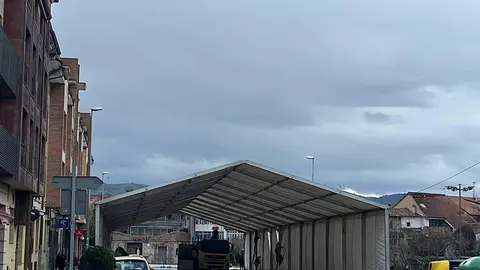 carpa-pelambre-antroxu-villaviciosa