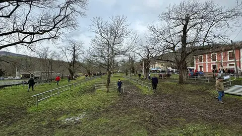 feria-corao-marzo-2024-20