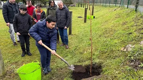 un-arbol-europa-arriondas-04