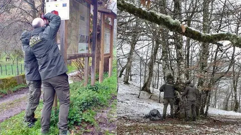 camaras-vigilancia-incendios-asturias