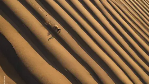 memorial-maria-luisa-the-dune