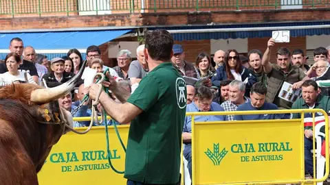 subasta-aseamo-2024-08