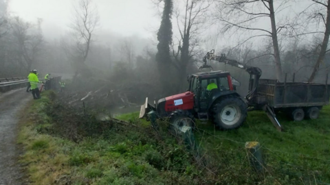 Operarios retirando restos vegetales