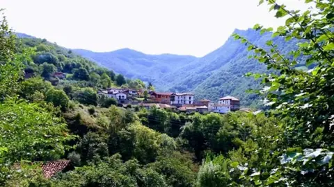 transporte-demanda-ponga