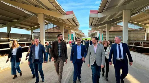 alimerka-ternera-villaviciosa-04