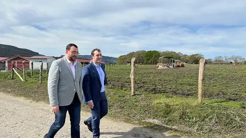 alimerka-ternera-villaviciosa-18