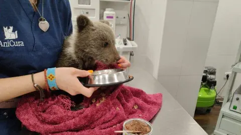 rescate-osezna-yernes-tameza