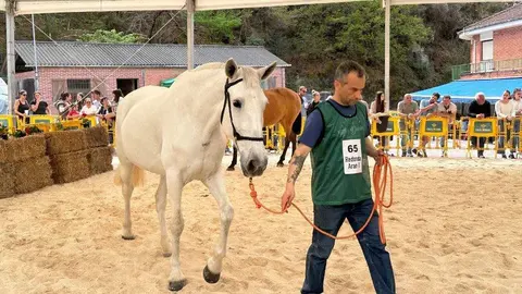 concurso-exposicion-caballo-cangas-onis-33