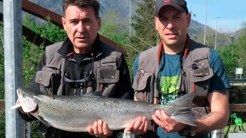 campanu-cares-2024-02