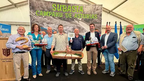 campanu-asturias-madrid-subasta