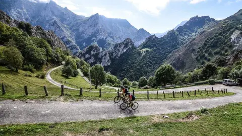 Subida de ciclistas a Casielles (Ponga).
Daniel &Aacute;lvarez / volatamag.cc