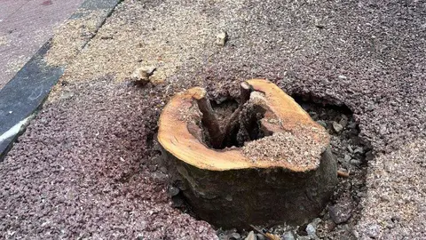 tala-plaganos-ribadesella