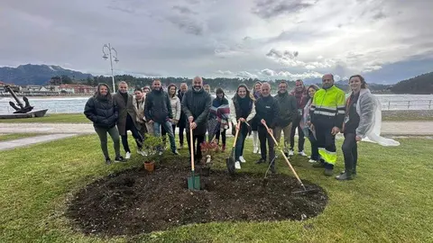 bosque-vueltina-ribadesella