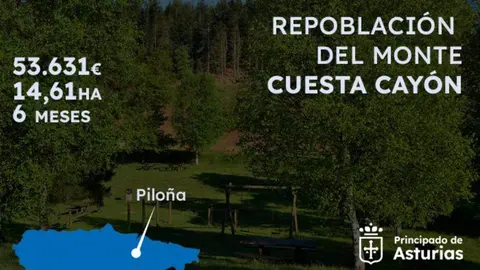 repoblacion-monte-cuesta-cayon-pilona