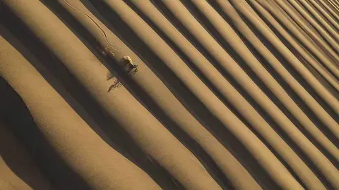 memorial-maria-luisa-2024