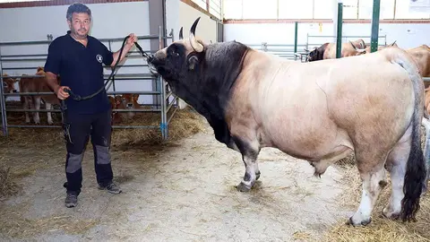 aseamo-subasta-cangas-01