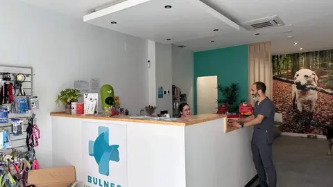 clinica-veterinaria-bulnes-arriondas
