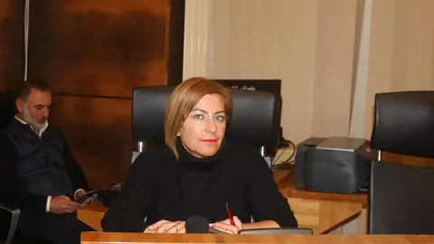 La concejal de IU SIero, Teresa &Aacute;lvarez