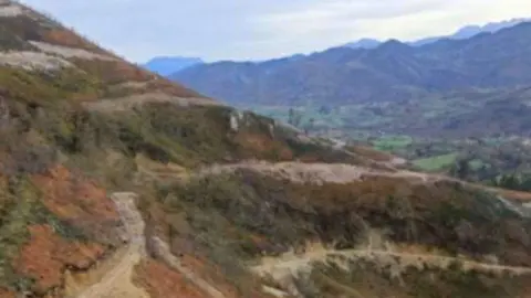 licitacion-repoblacion-montes-comarca-sidra