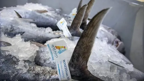 bonito-norte-propuestas-alimerka