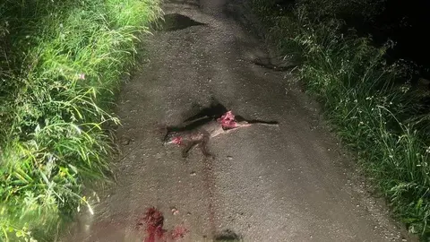 cabrita-muerta-berodia-cabrales