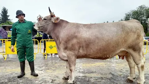 concurso-parda-montana-01