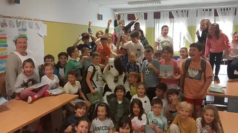 gamoneu-colegios-oriente-asturias-06