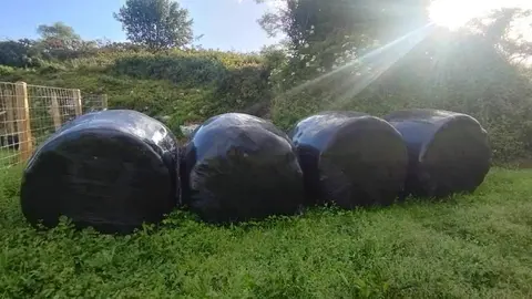 adjudicaci&oacute;n-plastico-bolos-llanes