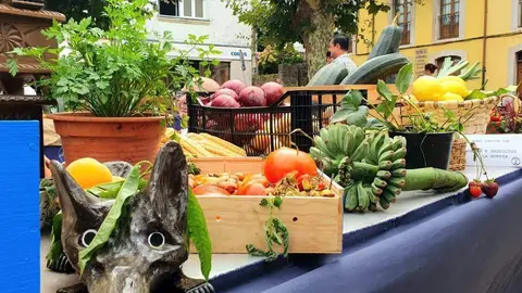 certamen-huerta-llanes