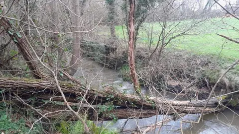 confederacion-conservacion-rio-norena