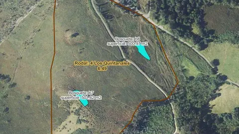 adjudicacion-manteniento-agroforestal-llanes