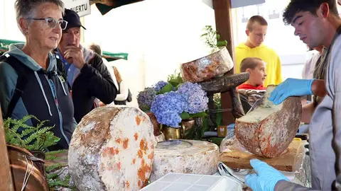 gamoneu-puertu-52-euros-kilo