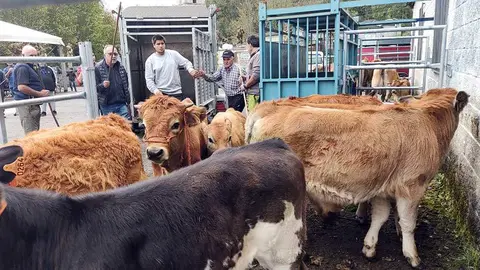 feria-octubre-benia-onis-05