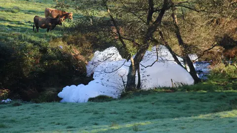 Espuma en un tramo del r&iacute;o Nora a su paso por Sariego