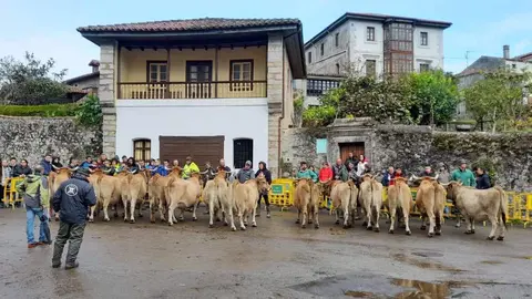 feria-santa-margarita-porrua