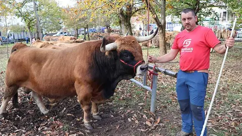 aseamo-acriber-corao-2024-02