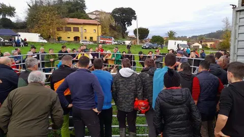 feria-ganadera-santa-lucia-llanes