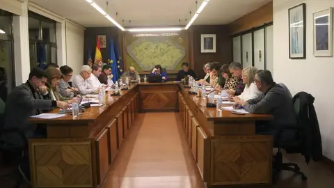 Un momento del pleno del ayuntamiento de Llanera