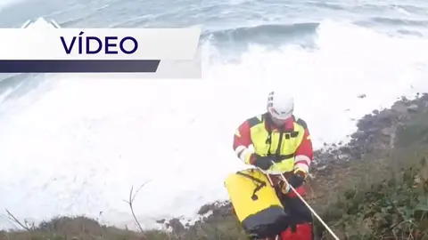 rescate-perro-villaviciosa