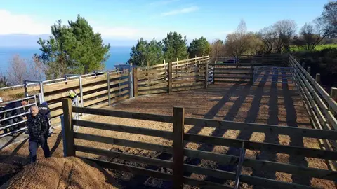 manga-ganadera-rio-nueva-llanes