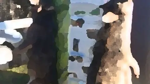 lobos-arcenorio-ponga-01