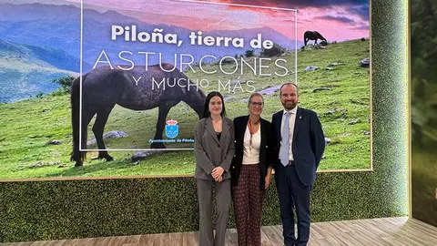 pilona-fitur-2025-01