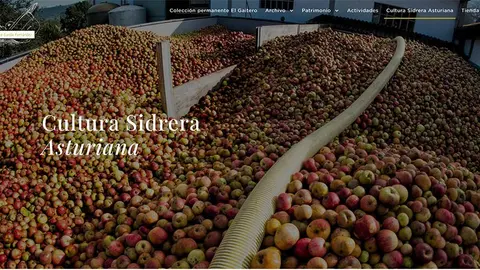 fundacion-jose-cardin