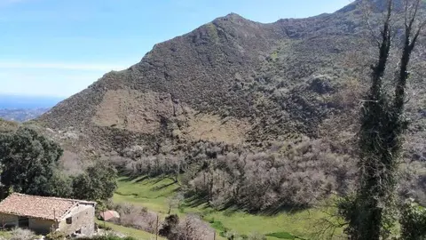 licitacion-plan-desbroces-llanes