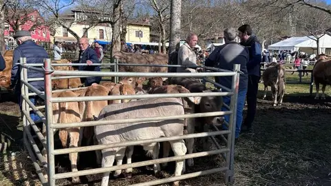 feria-corao-marzo-2025-7