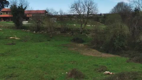 ataques-lobo-valle-oscuru